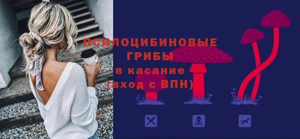 крисы Армянск