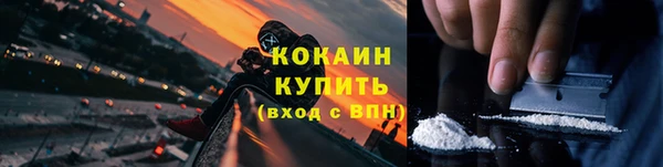крисы Армянск